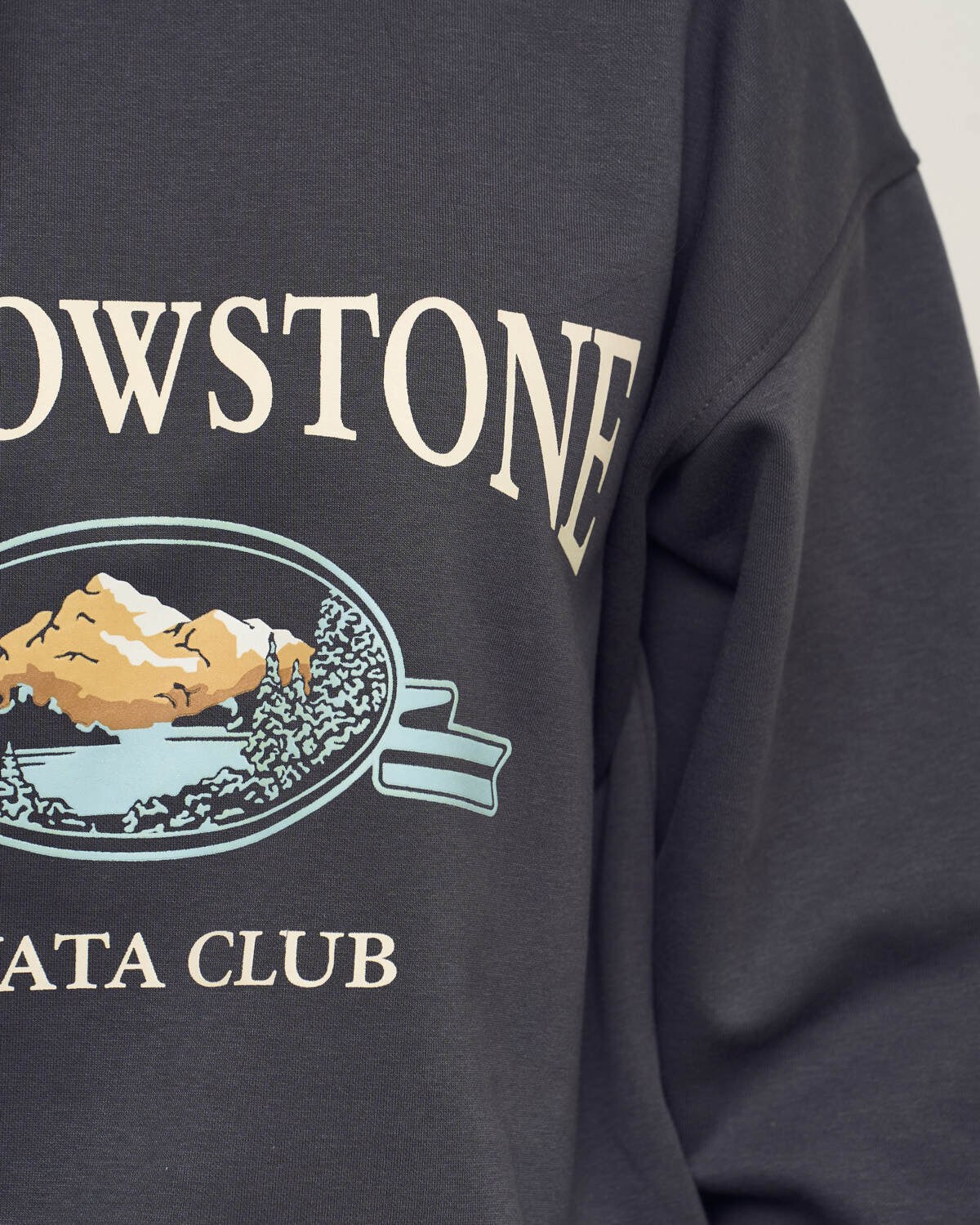 Детский свитшот Yellowstone - фото 3